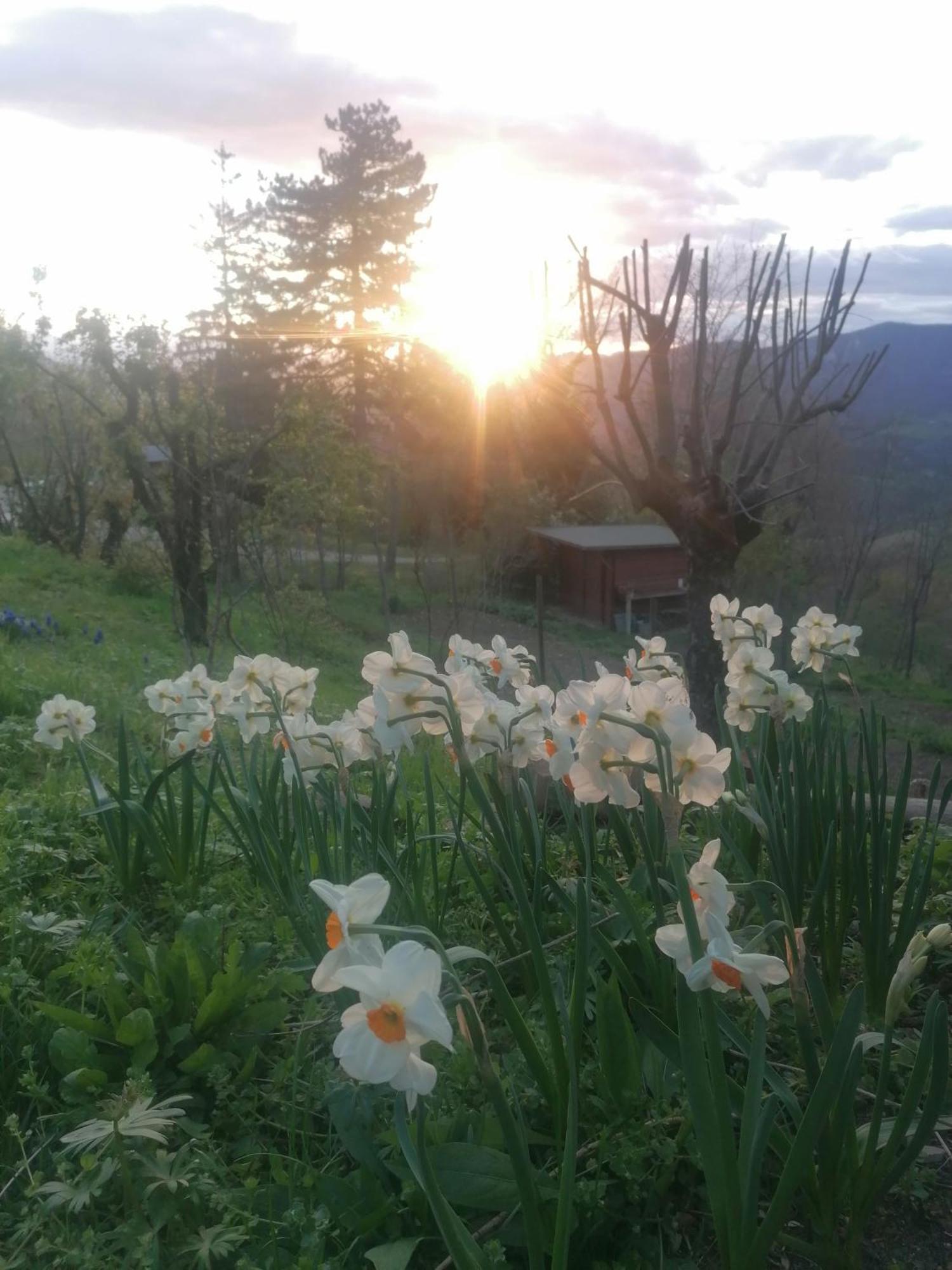 Ca' Dei Ste Bed & Breakfast Valle  Exterior photo